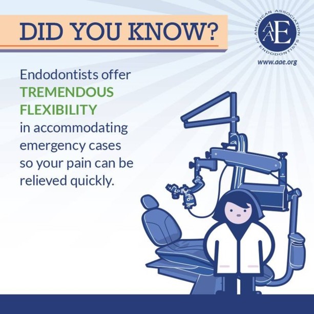 NYC Endodontist : Dr. Koh